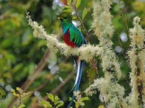 绝色攀禽：佛法僧目