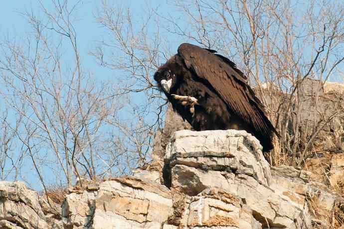 小鬼难缠 wbr鹰雄气短☆ 小鬼难缠 wbr鹰雄气短☆