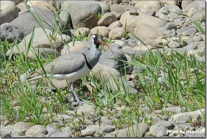  点击图片或使用键盘← →翻页