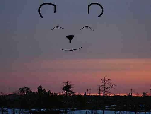 天空中的笑脸：飞鸟