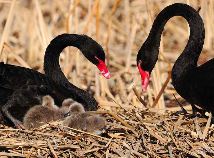 兔年大吉 阖家欢乐！