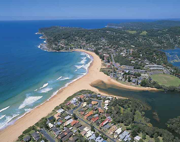 悉尼中央海岸观鸟记