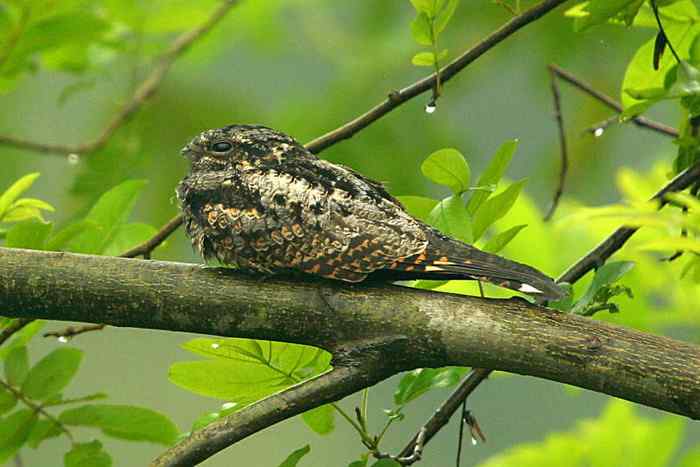 杭州老郑摄影续