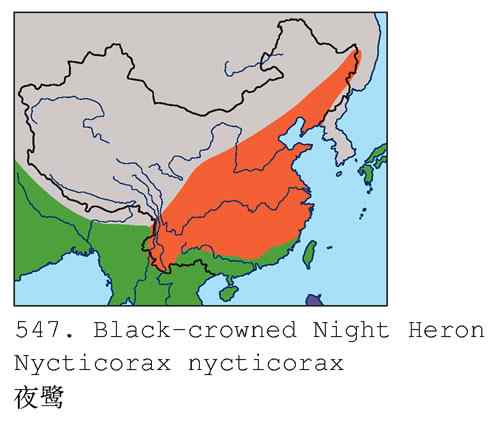 警觉、呆板、发愣（组图，9张图片）