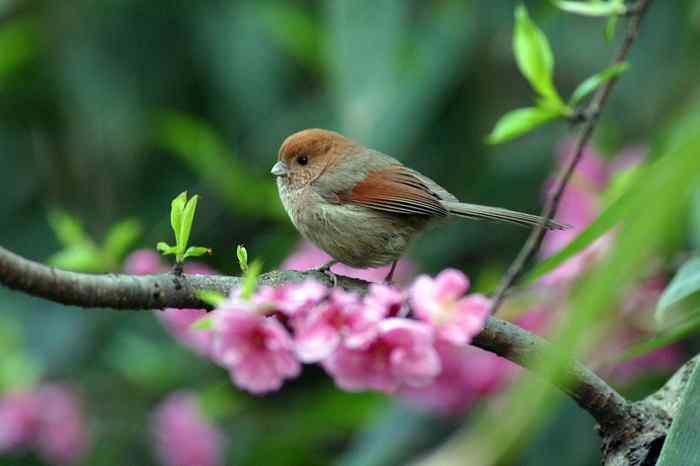 杭州老郑摄影续