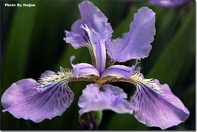  点击图片或使用键盘← →翻页