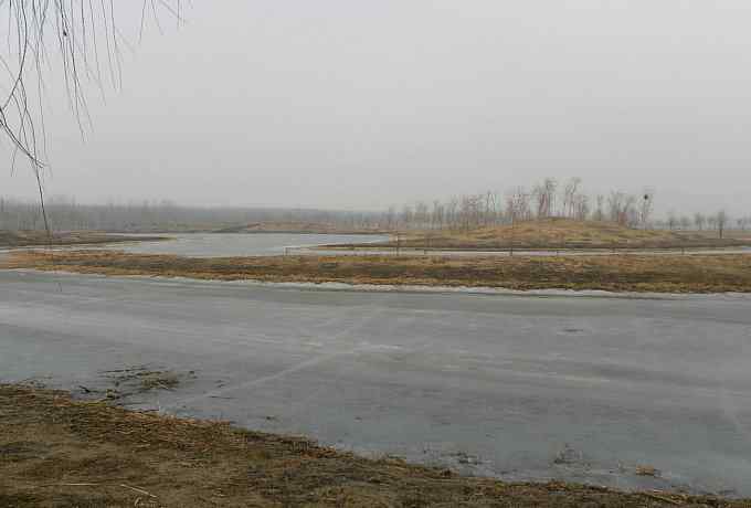 汉石桥湿地的斑嘴鸭 汉石桥湿地的斑嘴鸭