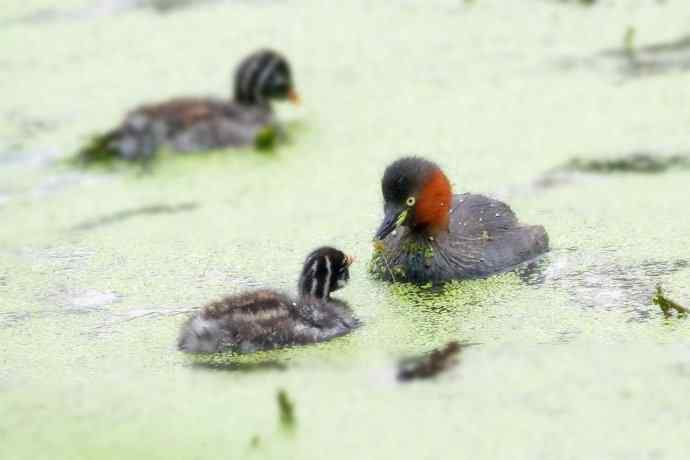 鈥溌杪栉乙...鈥