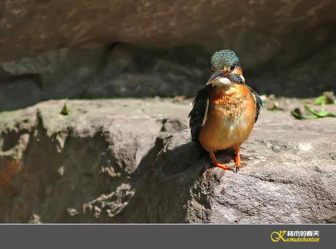 鈥溋宋泡衡澟拟溞〈溻潯臼蹬摹