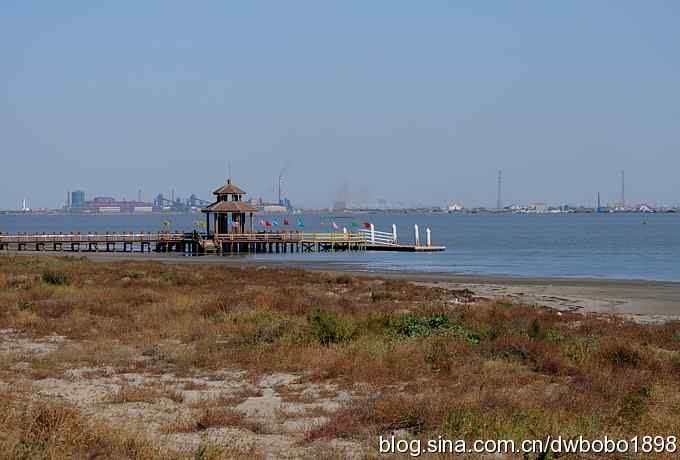 菩提岛：人文景观和观鸟基地