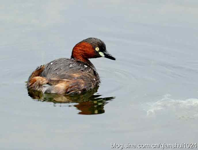 小和小小