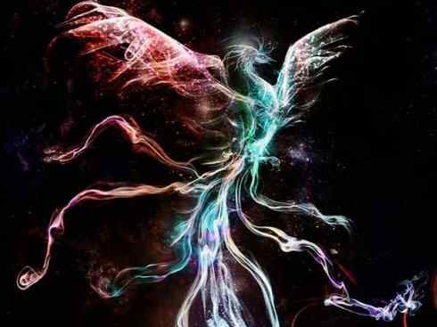 凤凰：传说的鸟