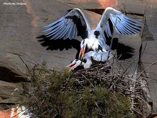 游走山水 猎摄河湾