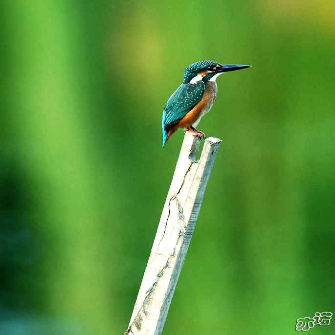 圆明园&nbsp;wbr路&nbsp;wbr我的地盘听我的