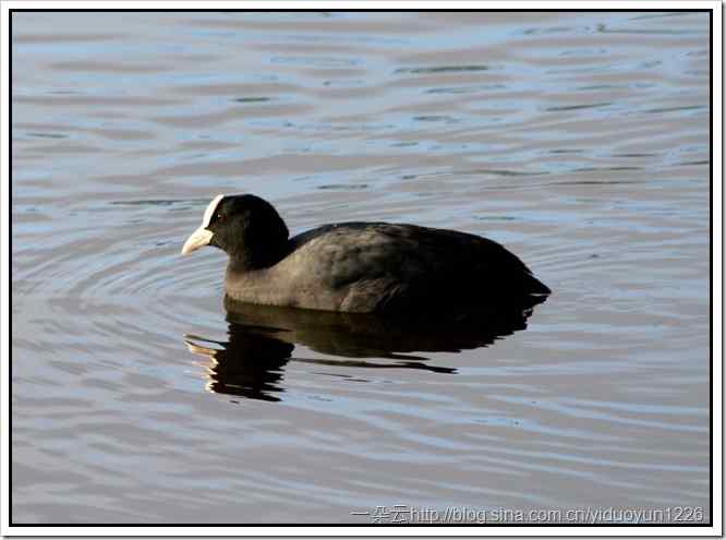 20111023-449_thumb2 20111023-449_thumb2