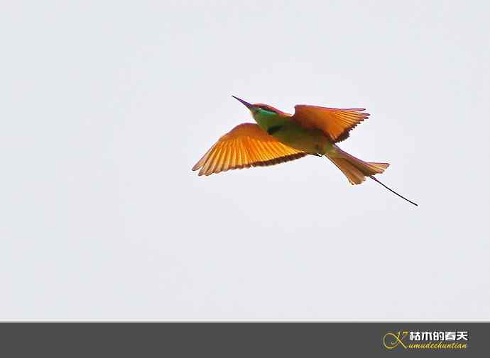 断线的鈥湻珞葩濃敿锹尖溌毯矸浠⑩