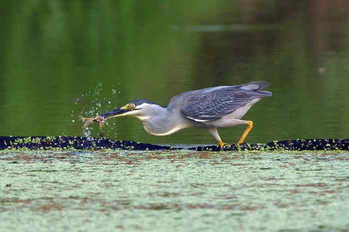 杭州老郑摄影续