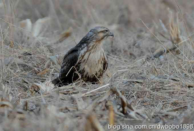 岁末再访白河峡谷 岁末再访白河峡谷