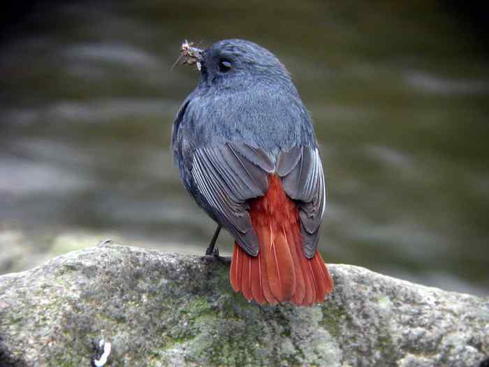 杭州老郑摄影续