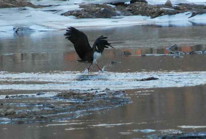 白河峡谷三月雪