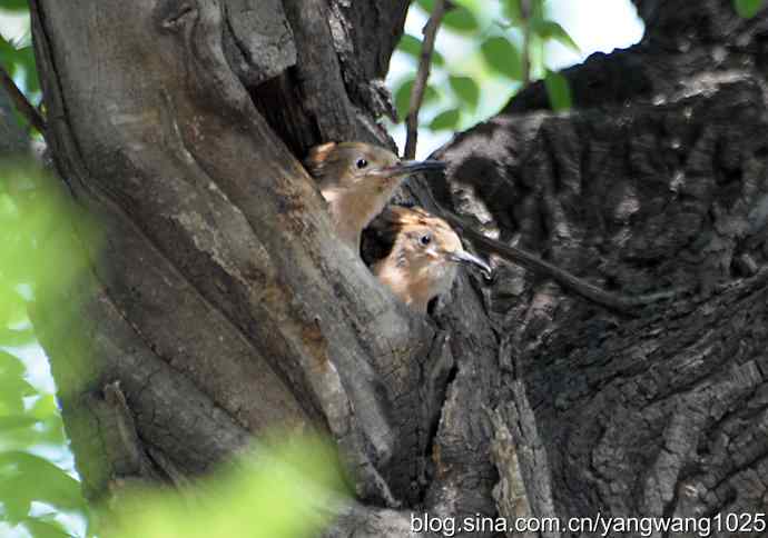 期盼（20分钟纪实片）