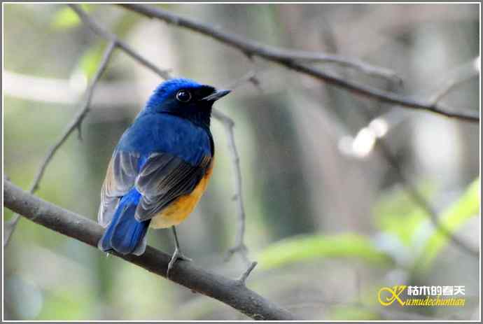 追拍鈥溩馗勾笙甥l鈥潯菊掌