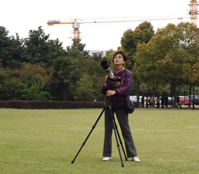 183.又见白鹡鸰--草地秀、菜鸟