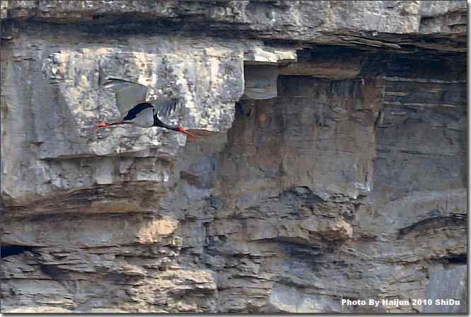  点击图片或使用键盘← →翻页