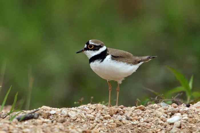 杭州老郑摄影续