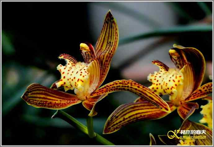 今天不拍鸟【照片】 今天不拍鸟【照片】