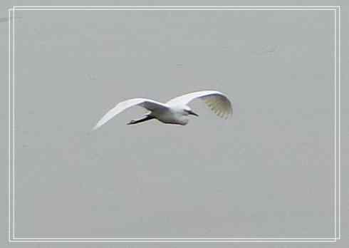 我的大生活之鈥溕隳衿濃1