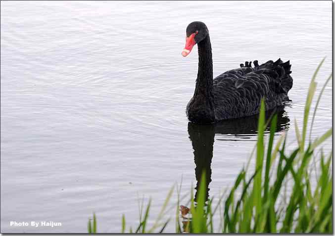  点击图片或使用键盘← →翻页