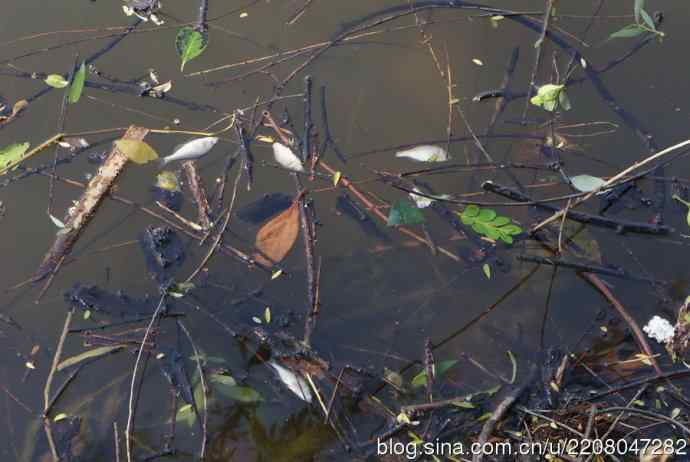 185.再见了小！