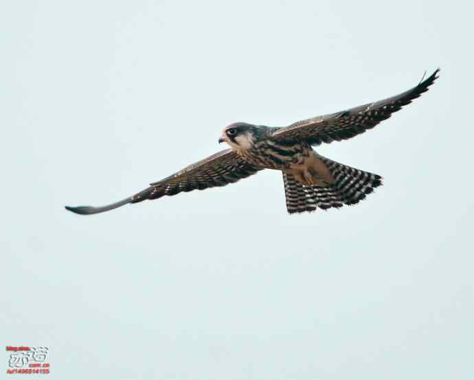 官厅水库 wbr路 wbr金秋十一猛 官厅水库 wbr路 wbr金秋十一猛