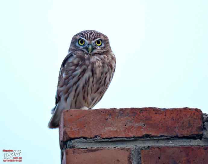 官厅水库 wbr路 wbr金秋十一猛 官厅水库 wbr路 wbr金秋十一猛