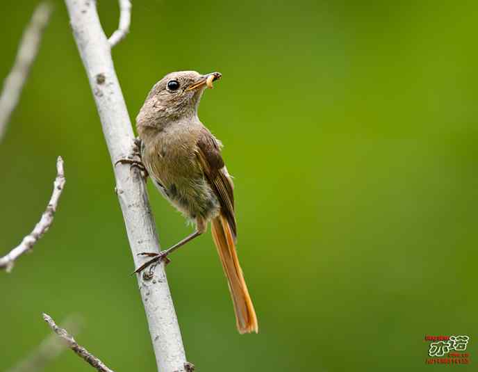 宝宝，回家吃饭啦！