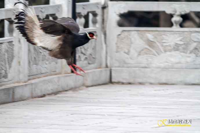 玄中古寺拍鈥満致恚Γ┾