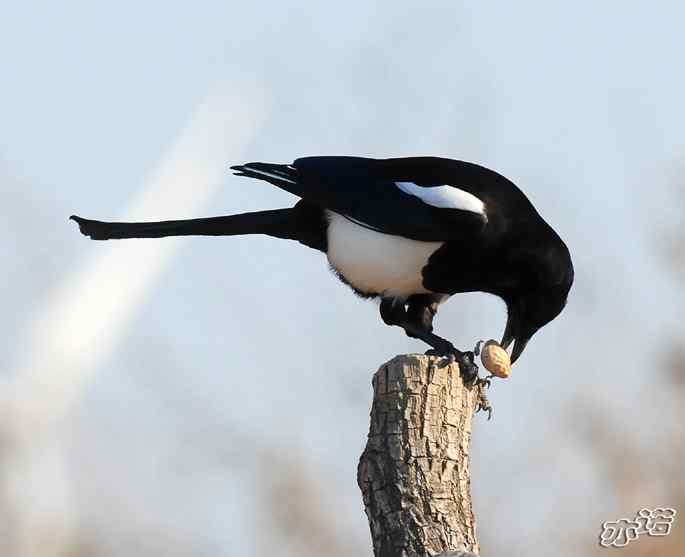 官厅水库&nbsp;wbr路&nbsp;wbr鈥湹刂麾澫踩