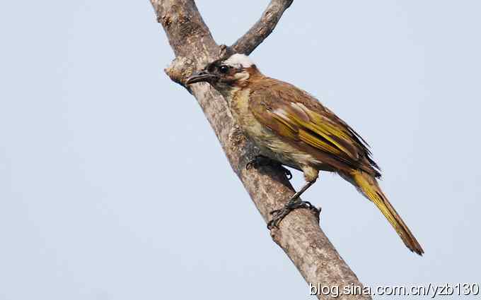 七里海周边鈥湻街酃扳澊蚰