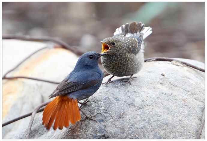 【I 'd never find a love like this】（父爱如山）