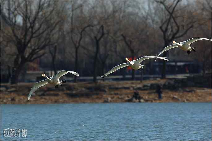  点击图片或使用键盘← →翻页