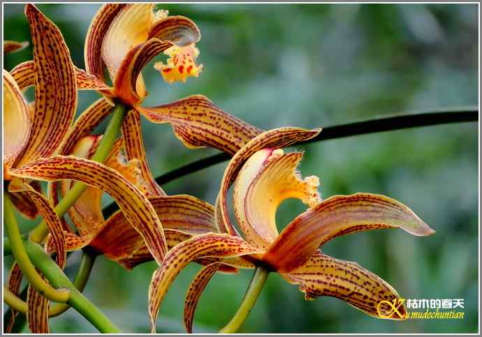 今天不拍鸟【照片】 今天不拍鸟【照片】