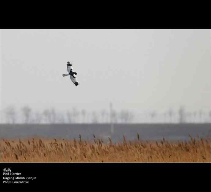 【人间四月天】