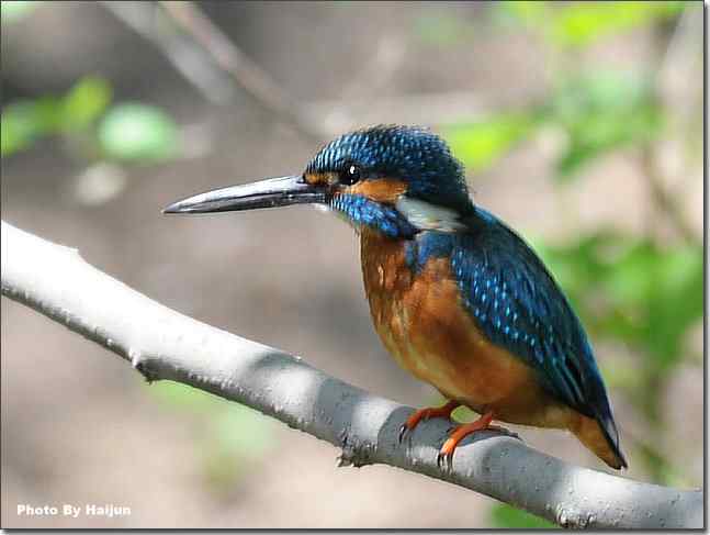  点击图片或使用键盘← →翻页