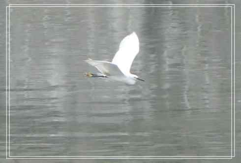 我的大生活之鈥溕隳衿濃1