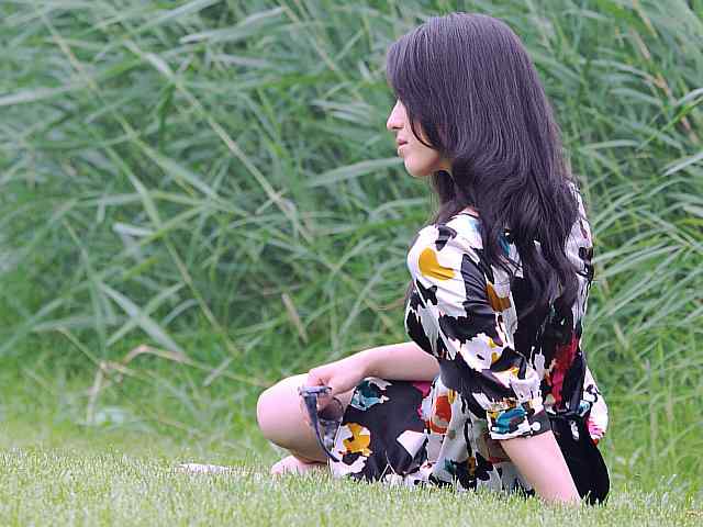 东方之莺鈥斺斀渑慕械降 东方之莺鈥斺斀渑慕械降