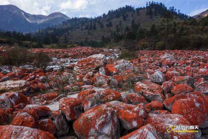 神奇的“红石滩”