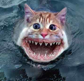 乱伦的后果 乱伦的后果