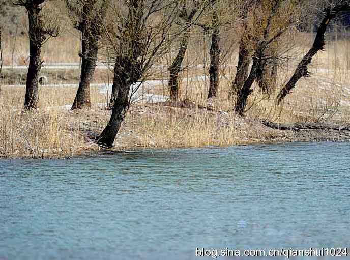 春到白河湾