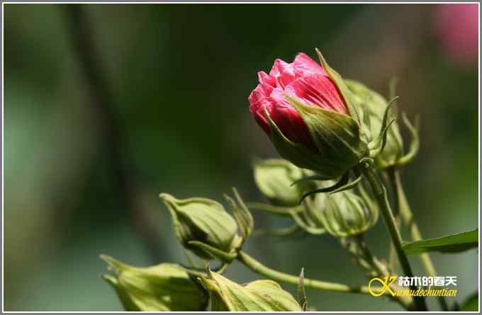 阳光明媚好心情【照片】 阳光明媚好心情【照片】